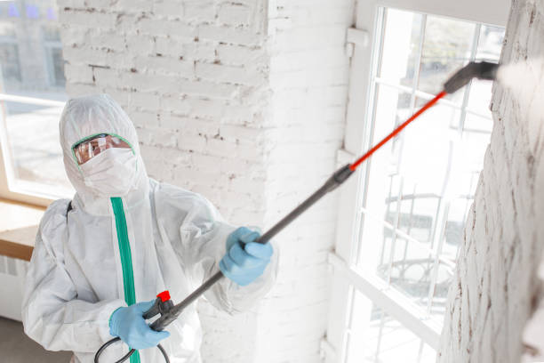 Best Asbestos and Lead Testing During Mold Inspection  in Lompoc, CA