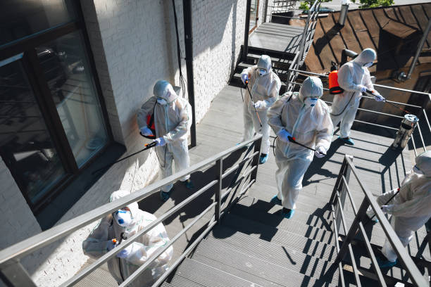 Mold Removal for HVAC Installations in Lompoc, CA
