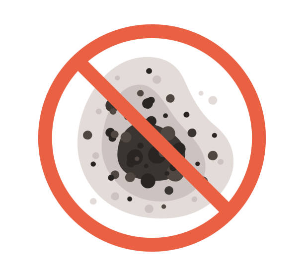 Best Mold Odor Removal Services  in Lompoc, CA