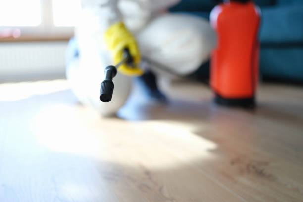 Best HVAC Mold Inspection and Cleaning  in Lompoc, CA