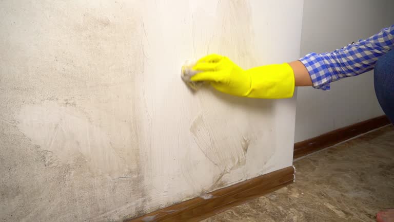 Best Industrial Mold Remediation  in Lompoc, CA