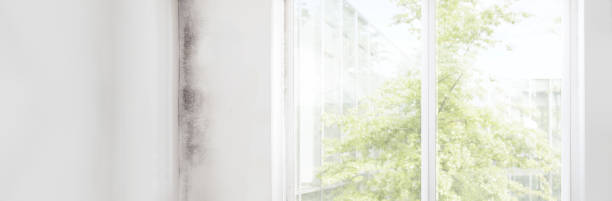 Best Dehumidification Services  in Lompoc, CA