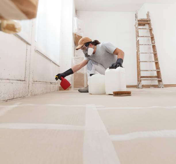 Best Water Damage & Mold Remediation  in Lompoc, CA