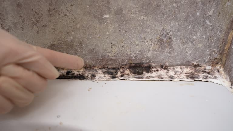 Best Airborne Mold Testing  in Lompoc, CA